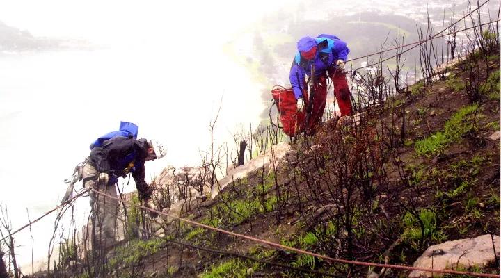 Avalon team members on ropes inspecting a fire damaged rocky slope