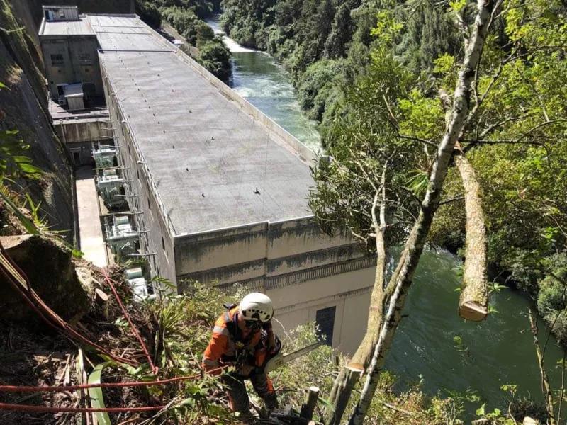 Avalon team member pruning trees above Arapuni dam powerhouse